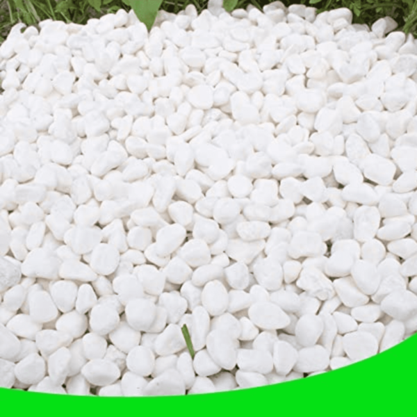 White Pebbles For Plants Garden (Medium)